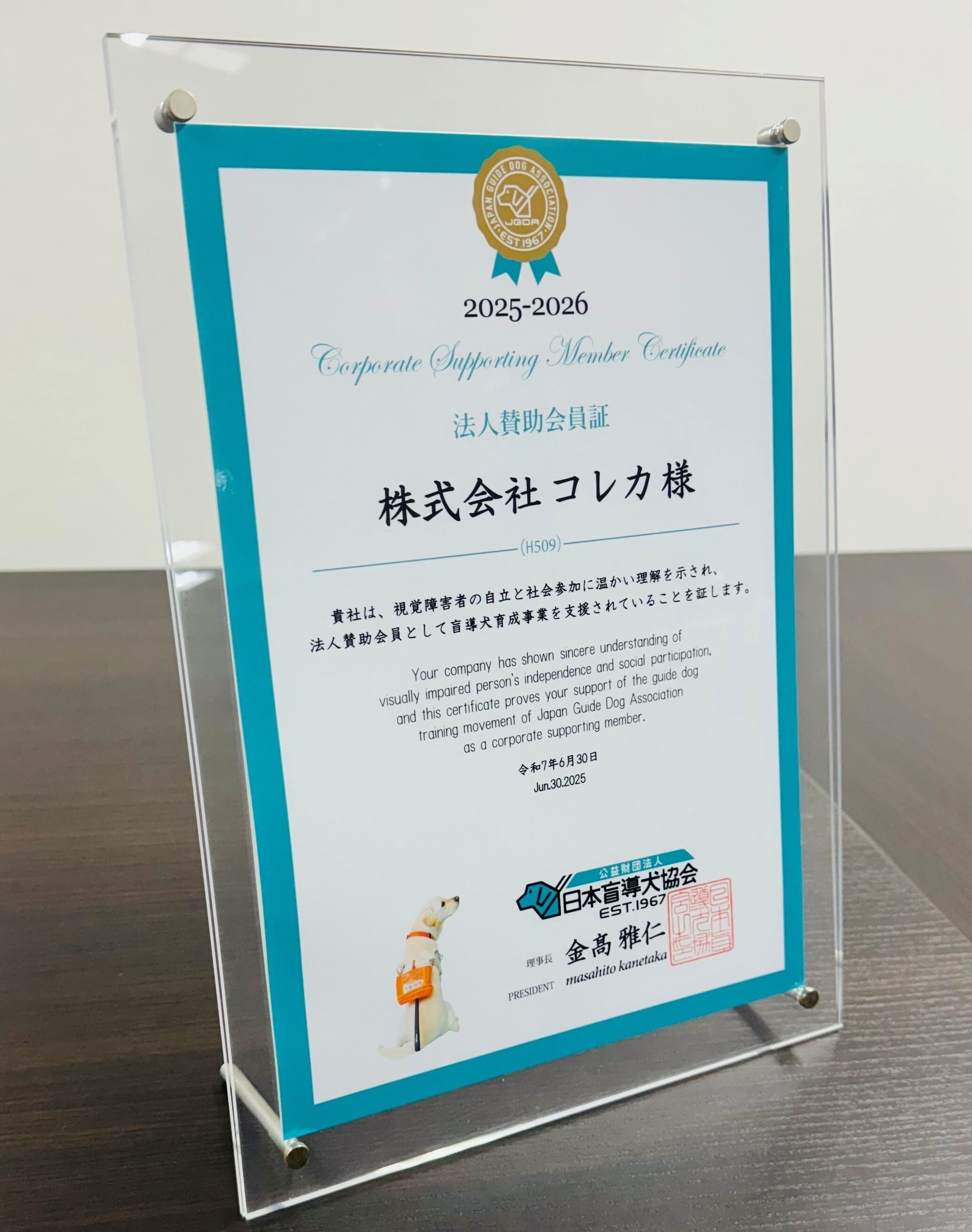 社会福祉活動